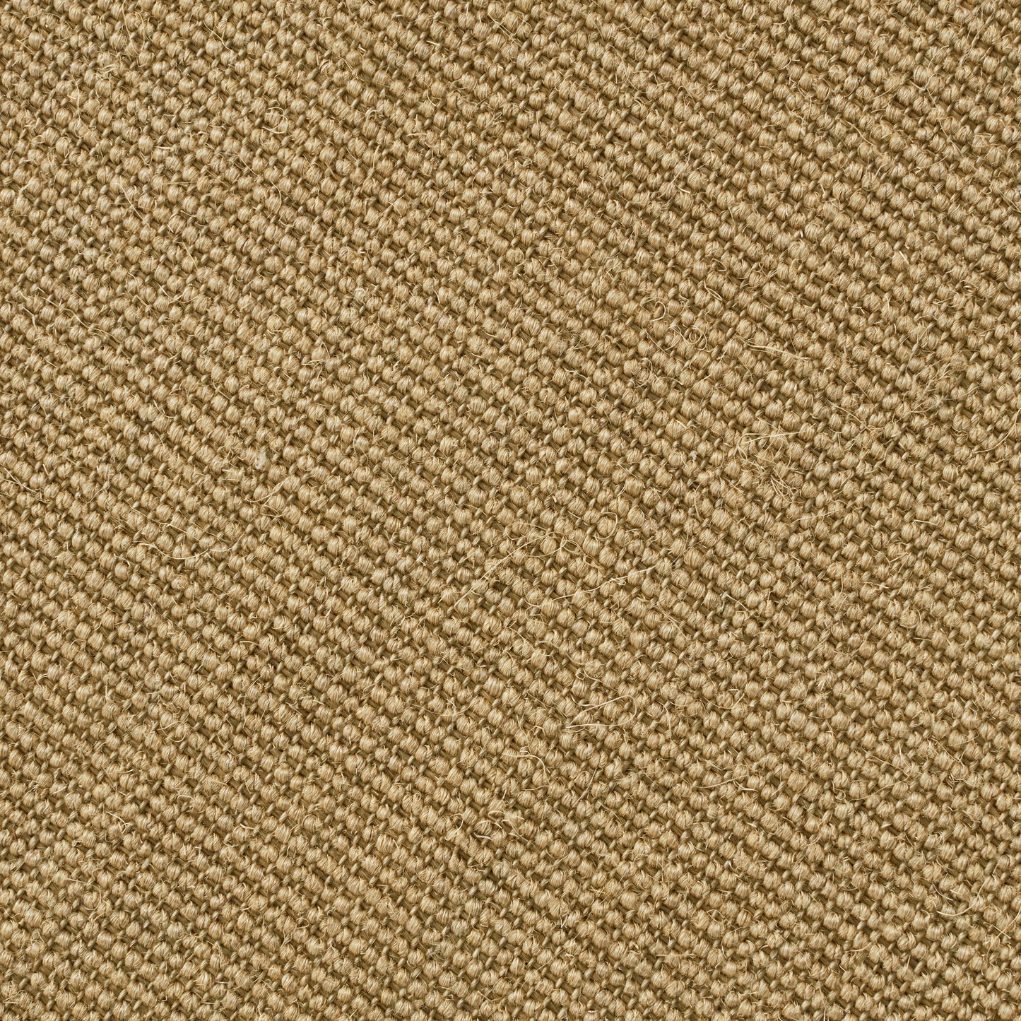 Closeup of Calpurnia Sand Sisal Rug