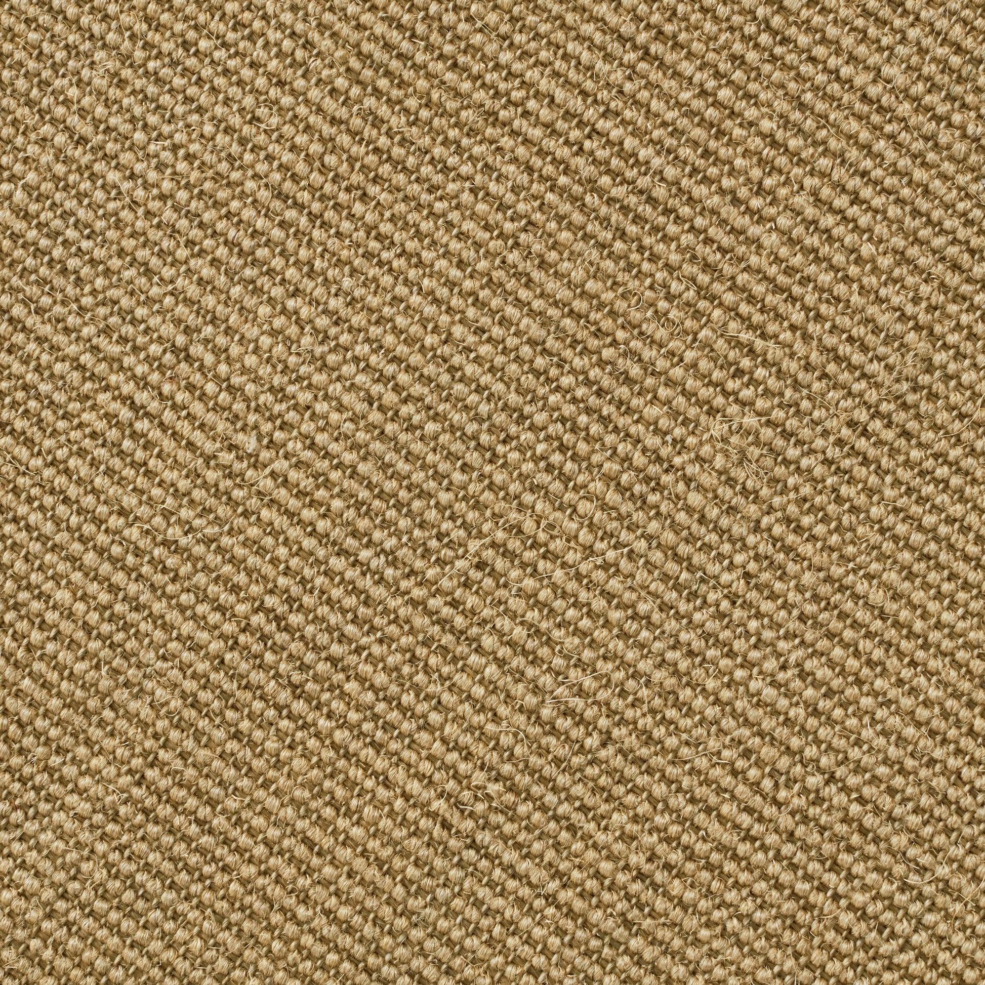 Closeup of Calpurnia Sand Sisal Rug
