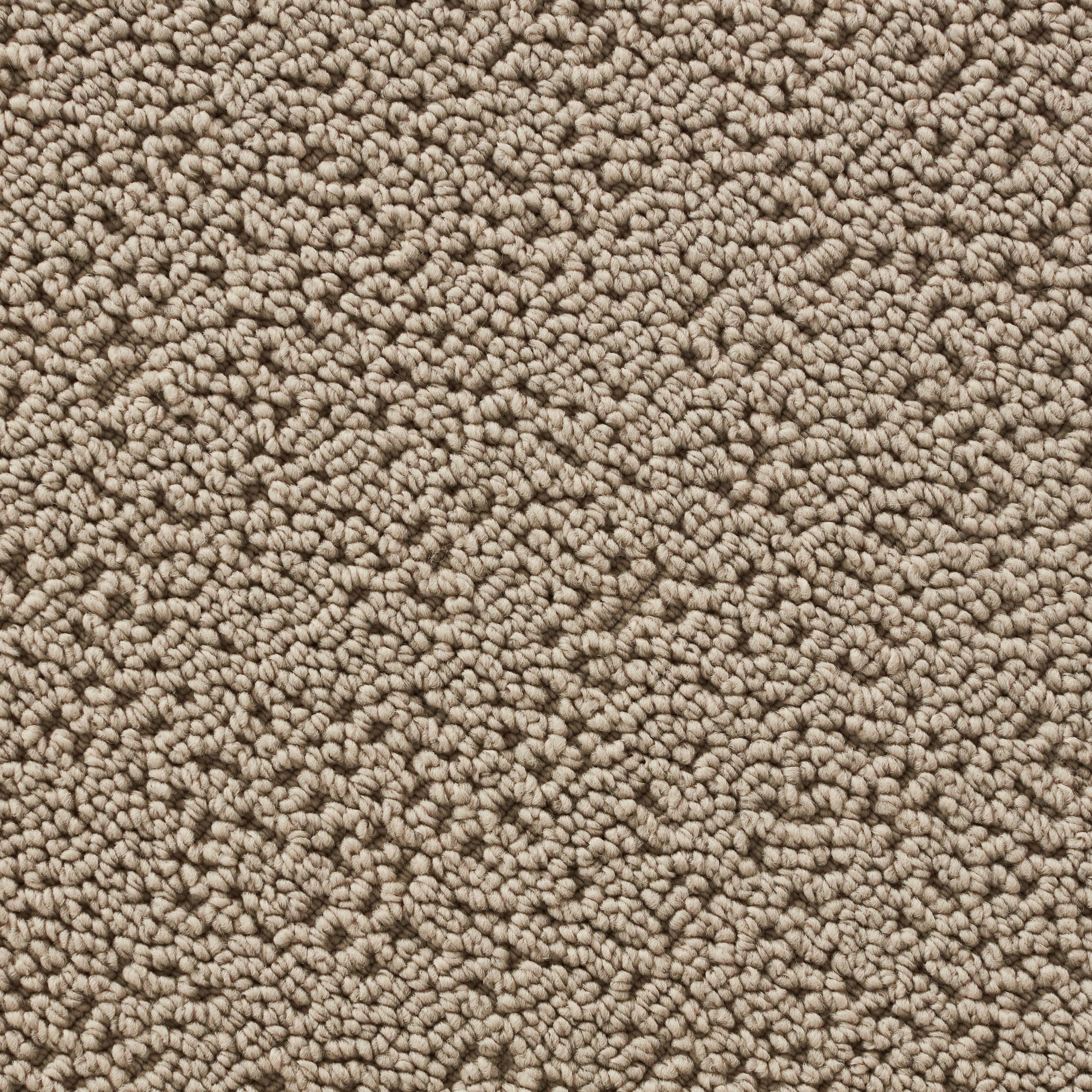 Closeup of Hope Spring Warm Grey Pet Friendly Rug