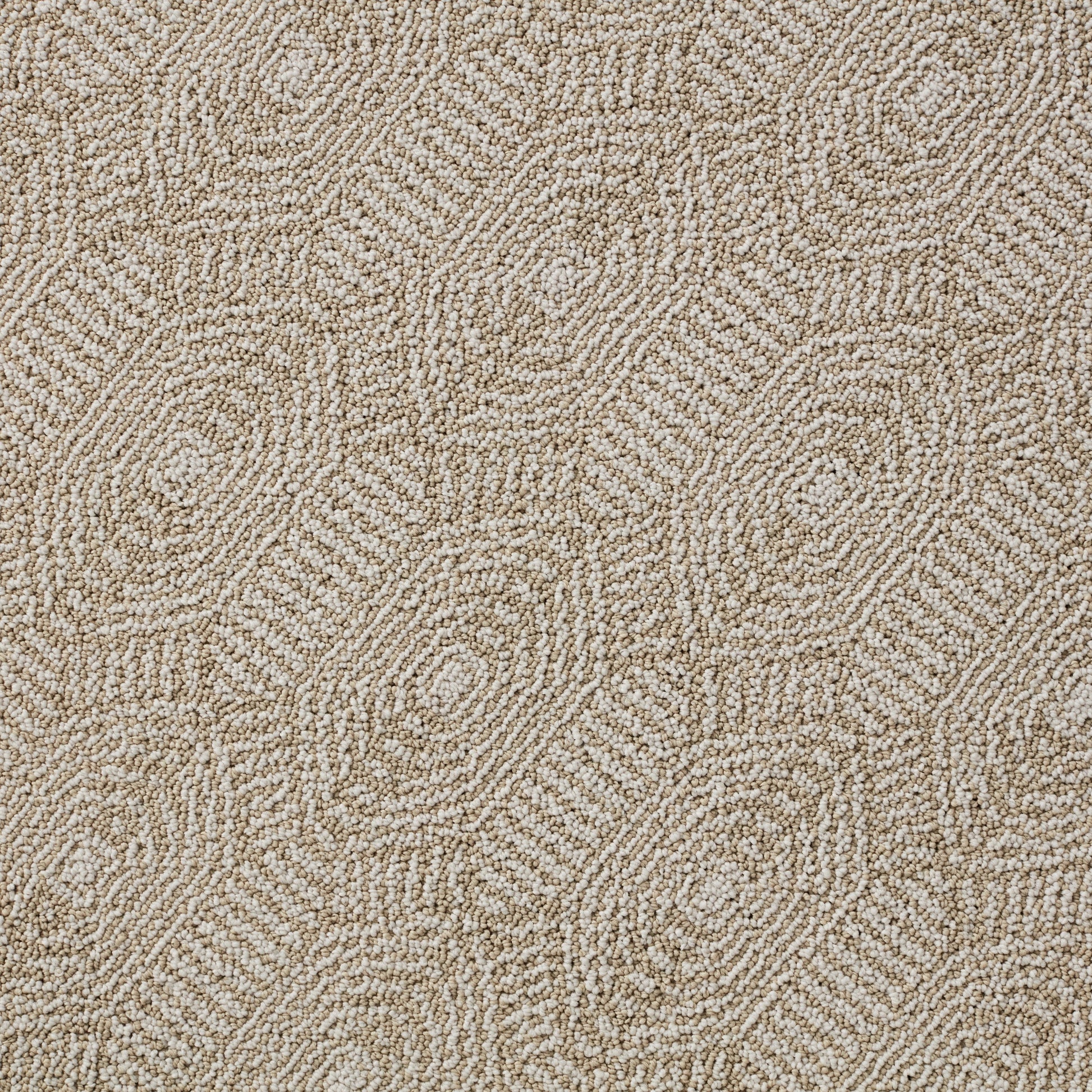 Closeup of Monroe Lee Sandstone Pet Friendly Rug