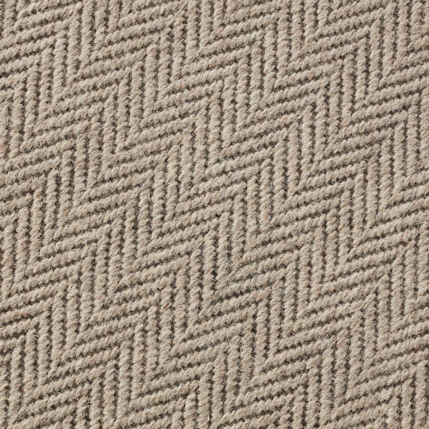 Closeup of Truman Dove Wool Rug
