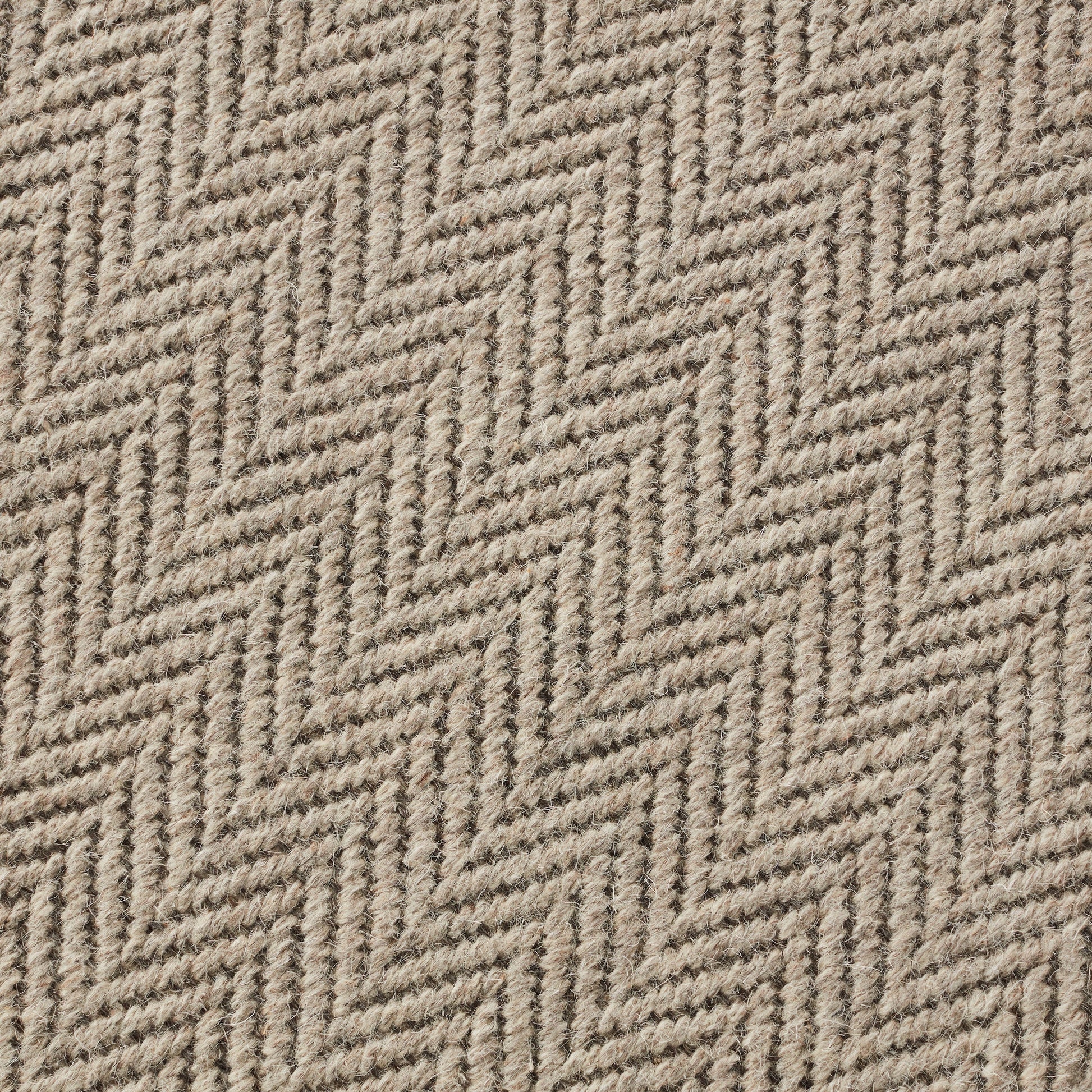 Closeup of Truman Dove Wool Rug
